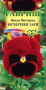 Виола Виттрока Вечерняя заря Гавриш Ц