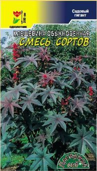 цКлещевина Смесь сортов 1,5 г.