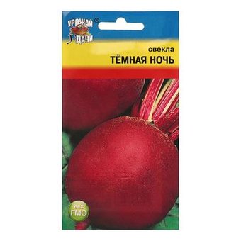 Свекла Темная ночь Урожай у дачи Ц