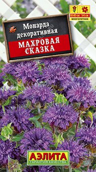 Монарда Махровая сказка Аэлита Ц