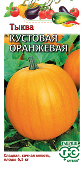 Тыква Кустовая оранжевая Гавриш Ц