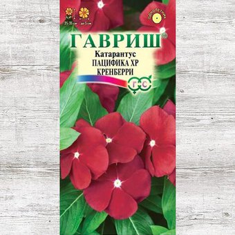 Катарантус Пацифика Кренберри 7шт 