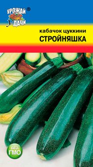 Кабачок Стройняшка Урожай у дачи Ц