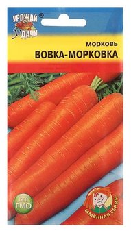 Морковь Вовка-Морковка Урожай у дачи Ц
