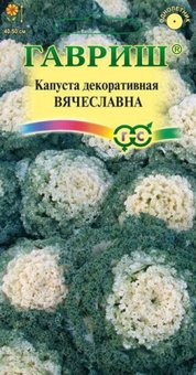 Капуста декор. Вячеславна Гавриш Ц