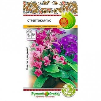 Стрептокарпус смесь НК Ц
