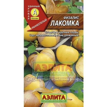 Физалис Лакомка Аэлита Ц