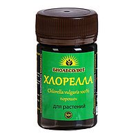 Суспензия хлореллы 10г (порошок) на 10л.