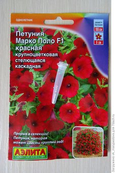 цПетуния Марко Поло красная 10шт