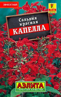 Сальвия красная Капелла "Лидер" Аэлита Ц