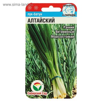 Лук батун Алтайский Сиб.Сад Цх10