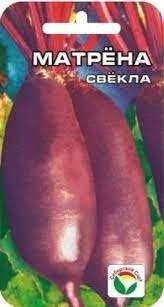 Свекла Матрена (Сиб сад)