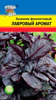 Базилик Лавровый аромат Урожай у дачи Ц