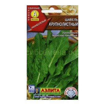 Щавель крупнолистный Аэлита Ц