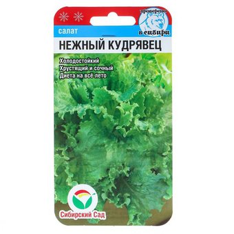 Салат Нежный кудрявец 0,5гр (Сиб Сад)