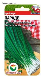 Лук батун Параде Сиб.Сад Ц