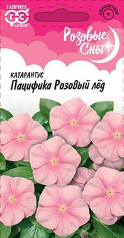 Катарантус Пацифика Розовый лед 7шт Розовые сны 