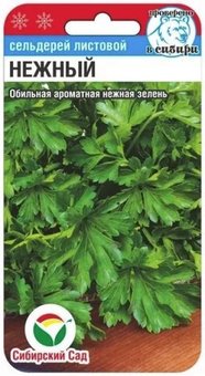 Сельдерей Нежный листовой 0,5г (Сиб Сад)