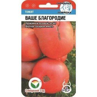 Томат Ваше благородие  Сиб.сад Ц