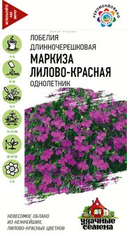 Лобелия Маркиза лилово-красная, ампельная Гавриш Ц